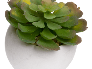 faux succulent in white pot